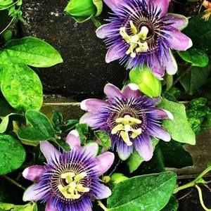 Meet your Posher, Kristie